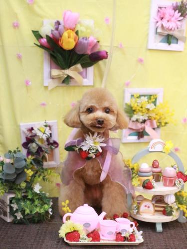 20230325ララちゃん